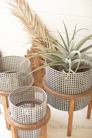 Modern Metal Planters on wooden stands
