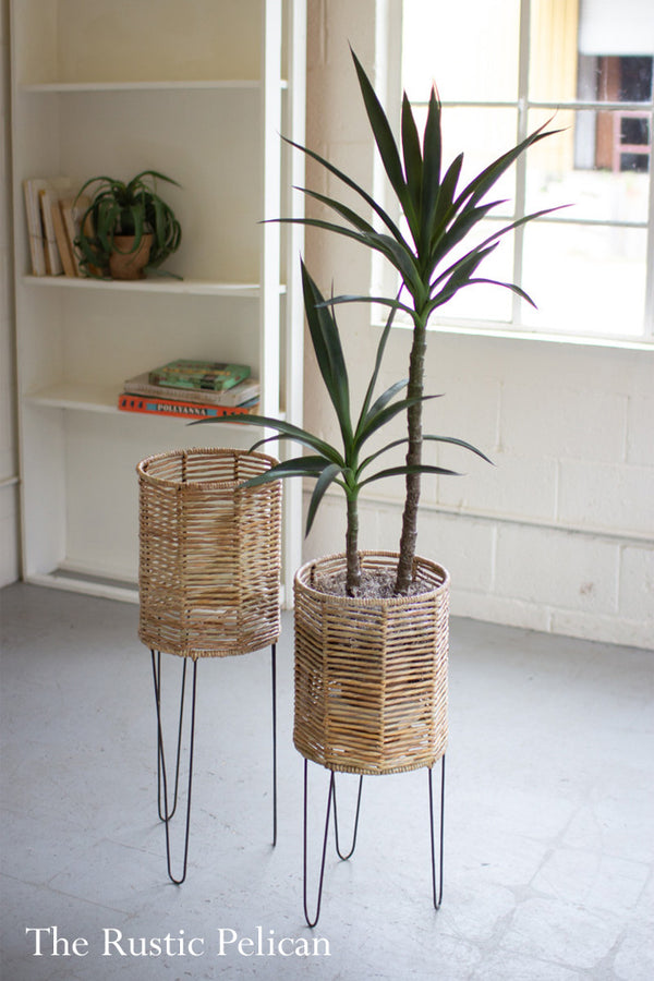 Modern Planters on Metal stands  Set of two